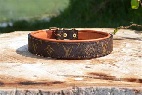 louis vuitton pet collar.